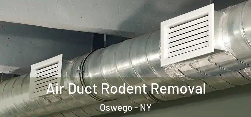 Air Duct Rodent Removal Oswego - NY