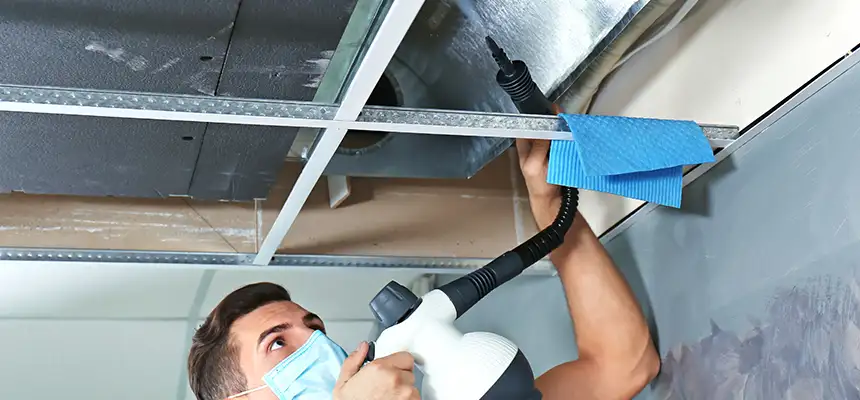 Our Air Duct Rodent Removal Services in Oswego, NY