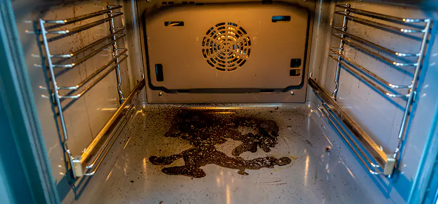 Our Dryer Vent Mold Cleaning Services in Oswego, NY