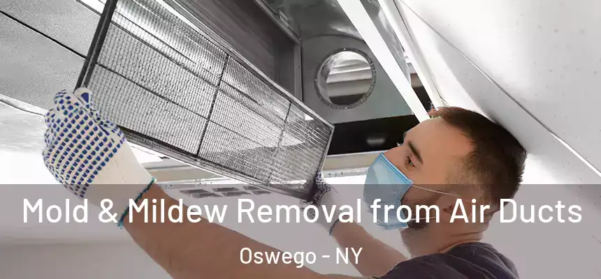 Mold & Mildew Removal from Air Ducts Oswego - NY