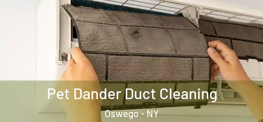  Pet Dander Duct Cleaning Oswego - NY